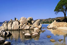 开云体育-斯旺西主帅展望新赛季，力争赢得更多比赛